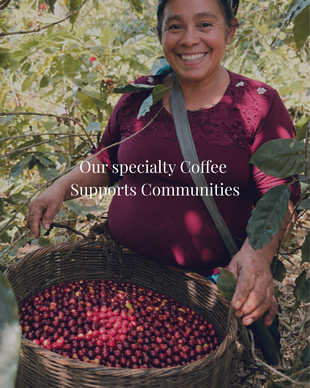 Woman holding a basket of coffee cherries with text 'Our specialty Coffee Supports Communities'.