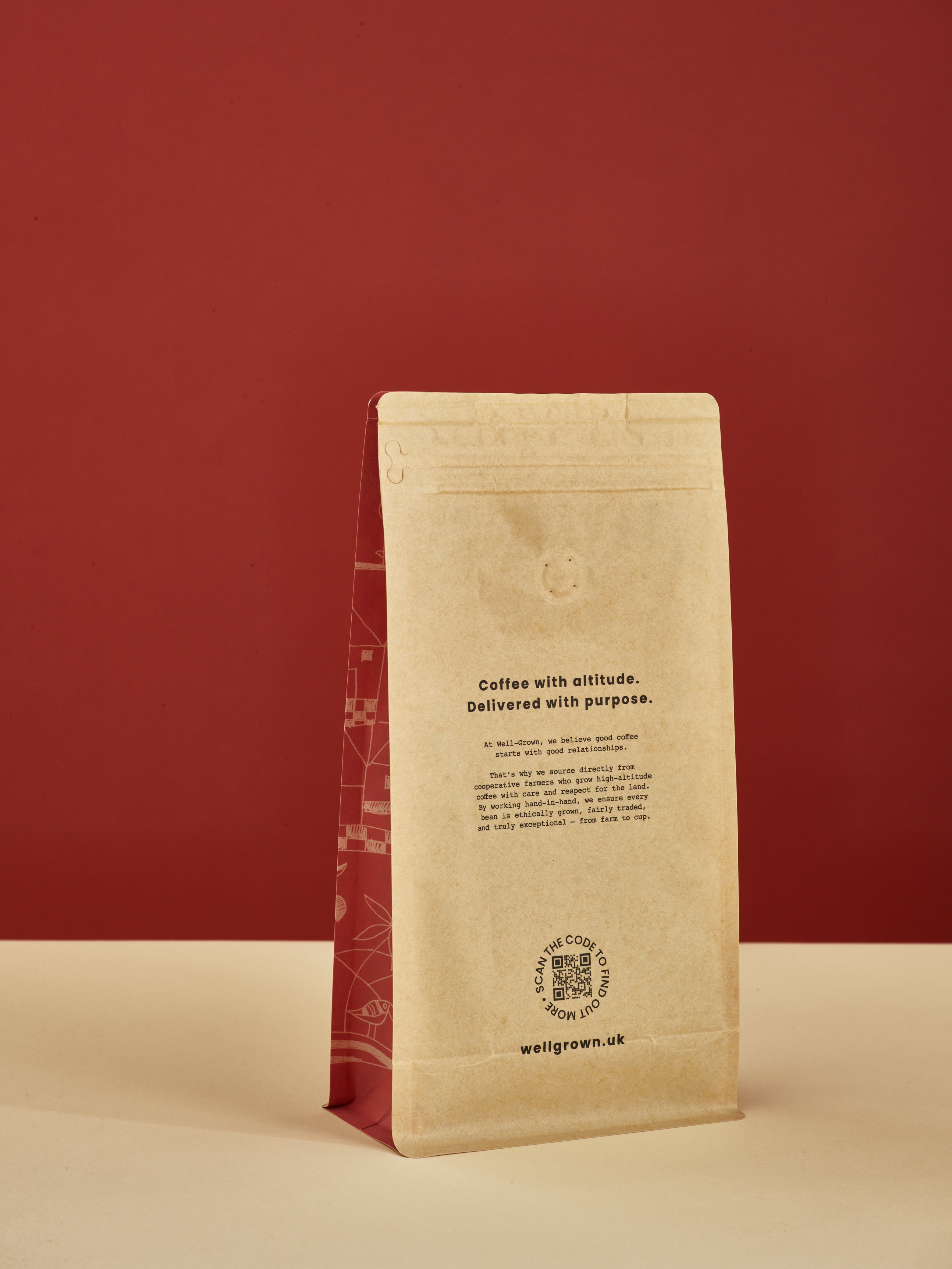 THE EXPLORER - 250g Wellgrown coffee bag