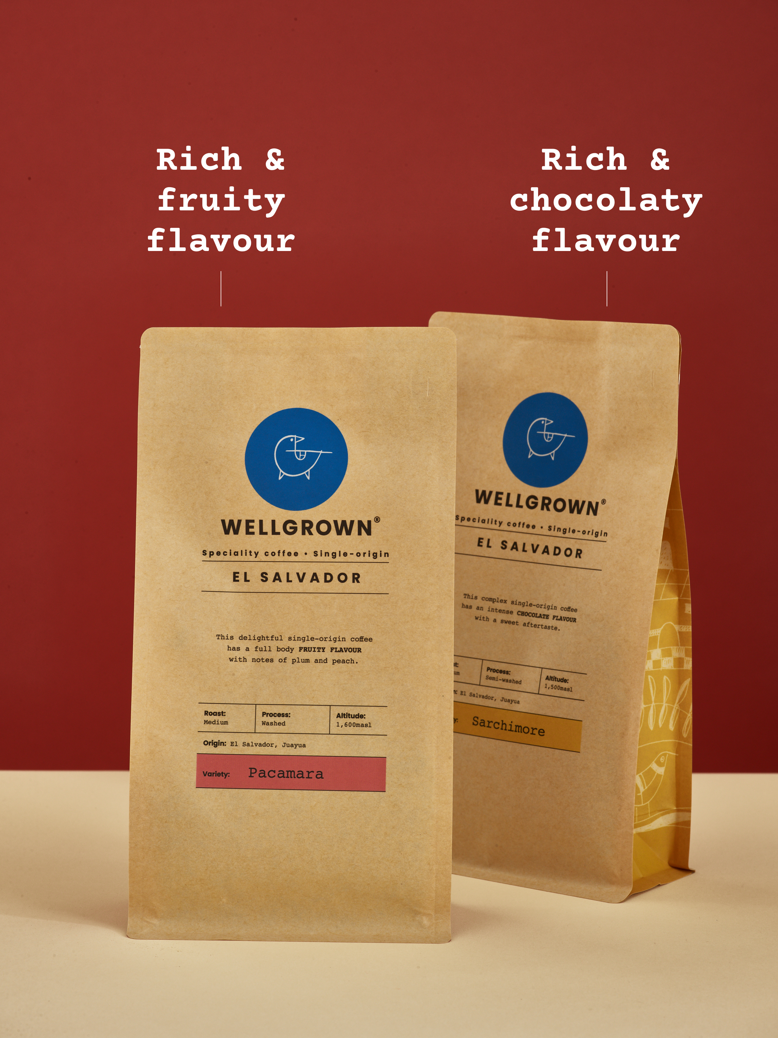 THE CONNOISSEUR - 750g Wellgrown coffee bag